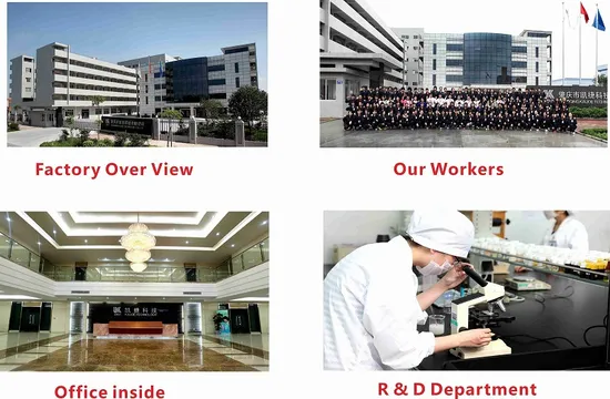 Mocheqi Moistening & Nourishing Hair Repairing Salon Hair Mask Cosmetic